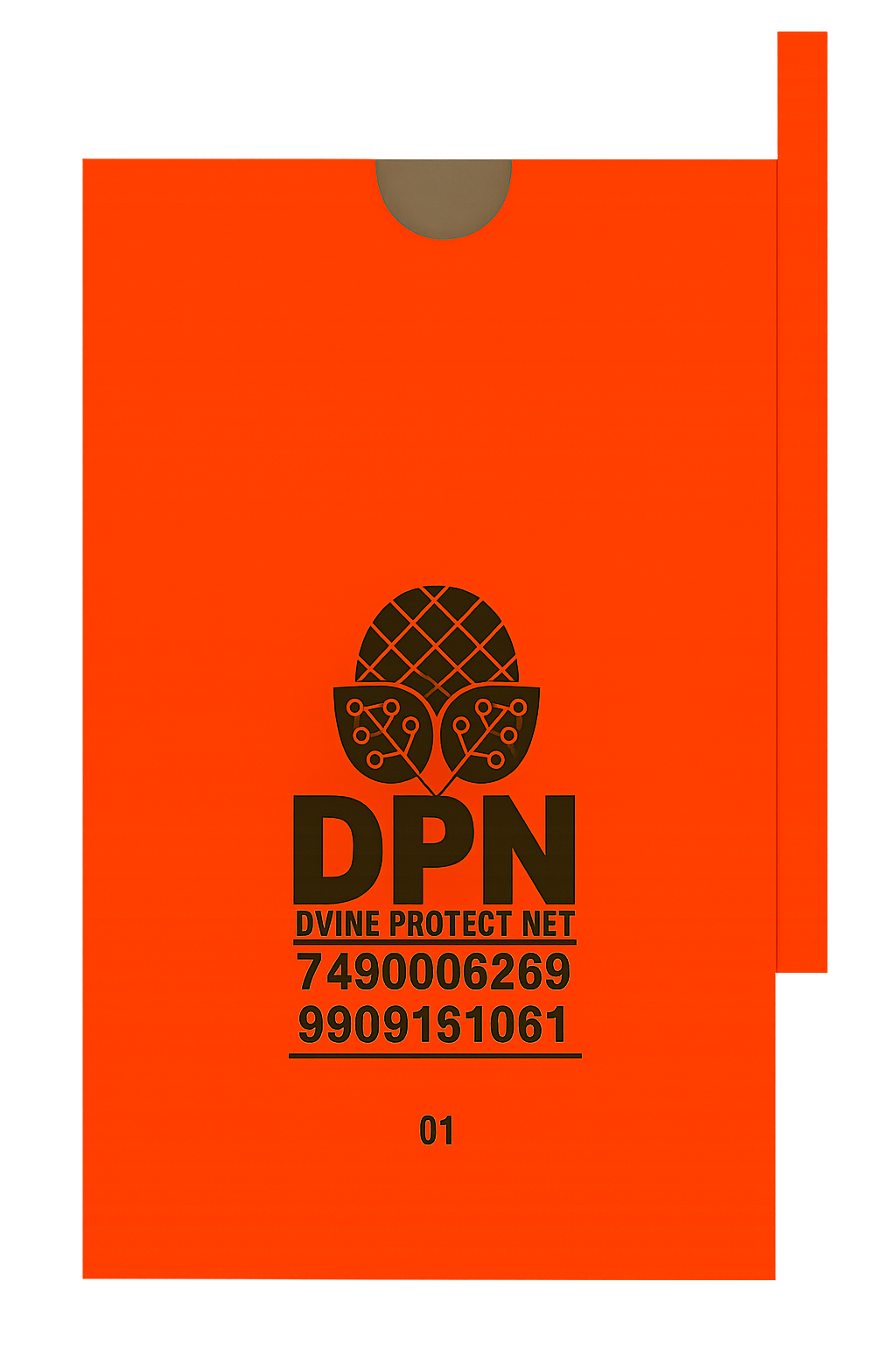 DPN Orange Paper Mango Protection Bag
